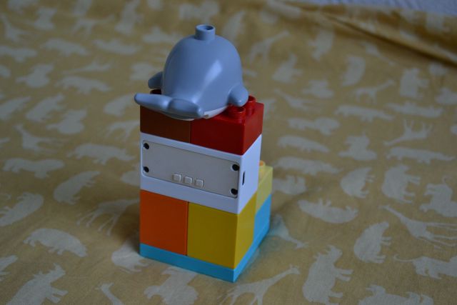 Whale back